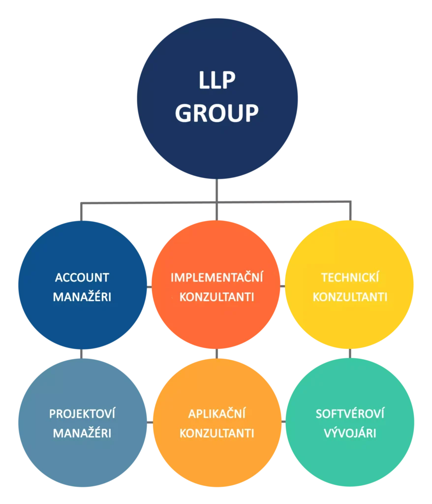 Diagram zobrazujúci LLP tím